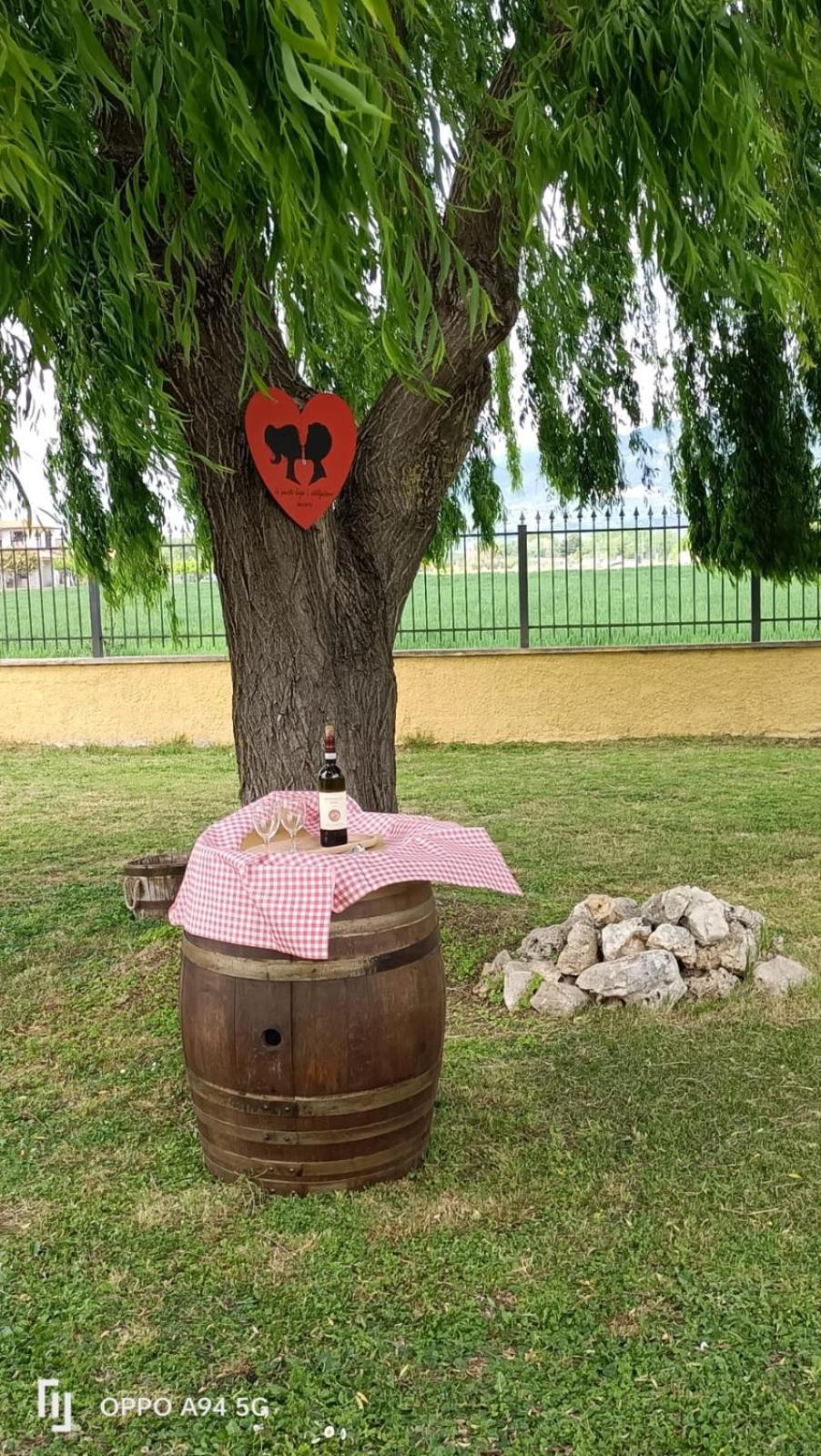 La Vecchia Stalla B&B นาร์นี ภายนอก รูปภาพ