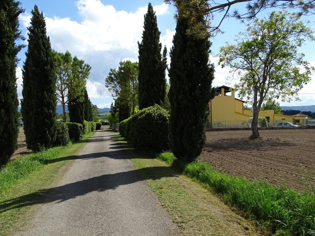 La Vecchia Stalla B&B นาร์นี ภายนอก รูปภาพ