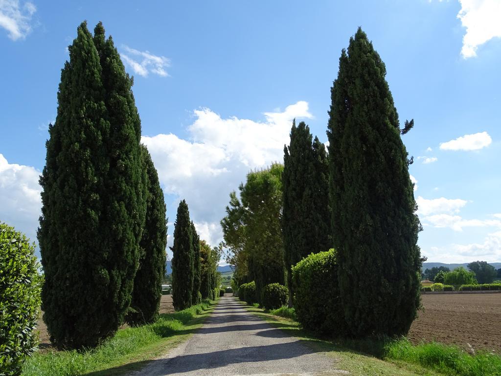 La Vecchia Stalla B&B นาร์นี ภายนอก รูปภาพ