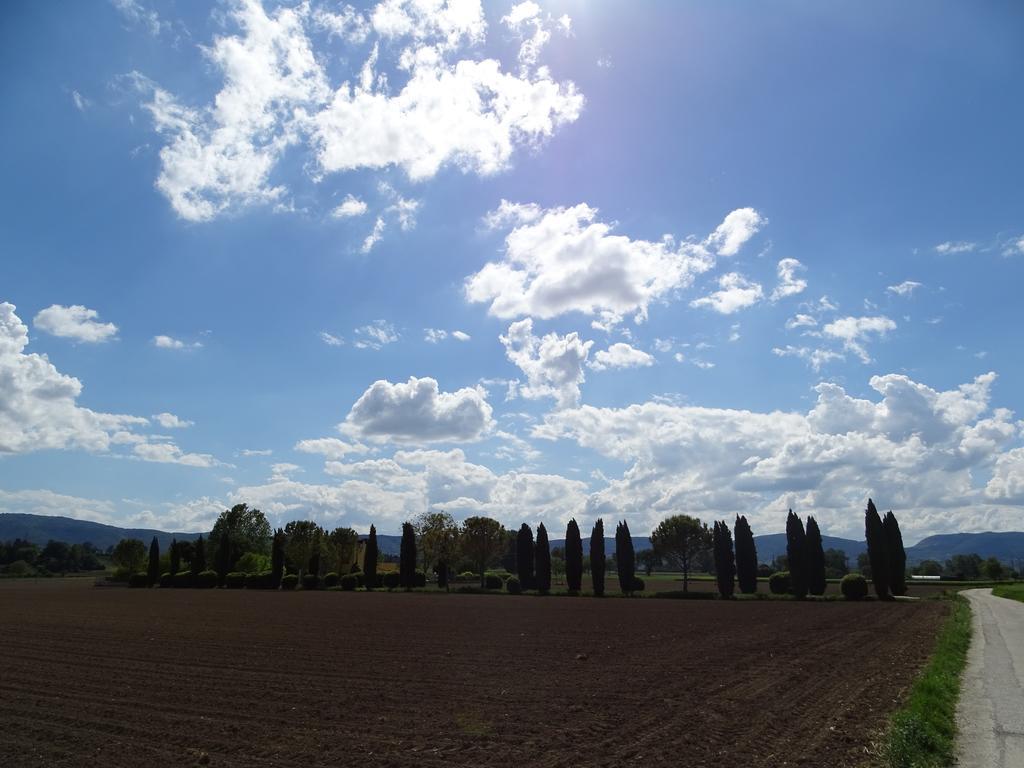 La Vecchia Stalla B&B นาร์นี ภายนอก รูปภาพ